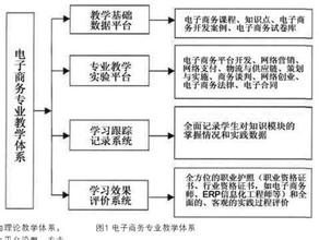  电子商务人才培养方案 电子商务人才培养应该层次化