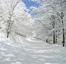  山东省科技攻关项目 雪地攻关，我们缺少什么？