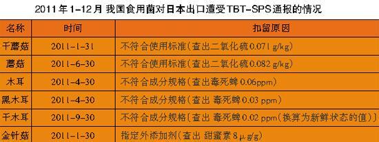  ok镜的危害触目惊心 TBT影响我国出口触目惊心