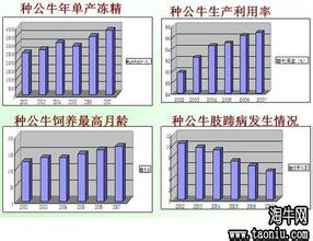  如何推行标准化 强化源头管理 推行标准化生产