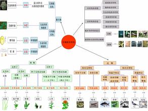  人工进化在线完整版 人工条件下的生物进化