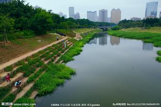  城市河流生态修复手册 正在死去的城市景观河流