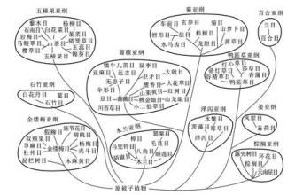  罗列 英文 学会罗列