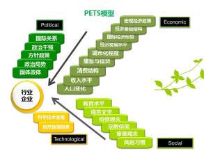  跨国公司的经营战略 我国旅游企业跨国经营战略分析