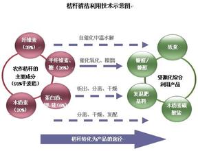  战略与思考 “十一五”规划中有关资源综合利用战略的思考