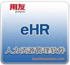  东软eHR：伙伴助推加速跑