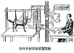  环境应对性：企业未来生存之条件反射