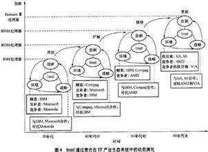  生态系统的演化 以生态组织观点，建立组织内共同演化的机制