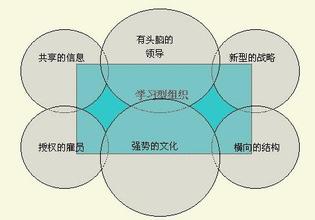  学习型组织理论综述2