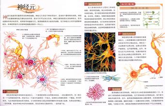  央企内部控制 央企的神经元（一）－－央企的治理与控制力 之五