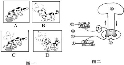  品牌建立的奥秘：从铃声到食物