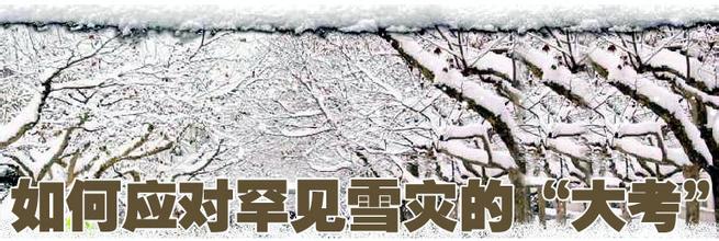  蛋白上样缓冲液作用 雪灾对中国经济起到了良好缓冲作用