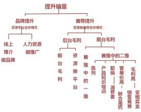  连锁超市运营方案 某医药连锁公司运营战略方案