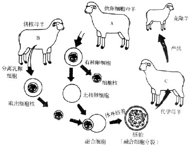  珠三角产业转移方向 珠三角产业转移从现象到本质1