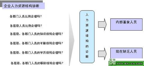  人力资源结构分析 白酒企业人力资源管理分析与构想