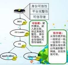  免疫系统紊乱 打造企业免疫系统