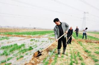  市场营销渠道 “借渠浇水”打开一片市场1