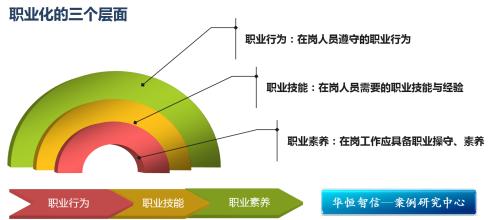  皮鞋yang素质三连视频 正视职业化与职业化素质