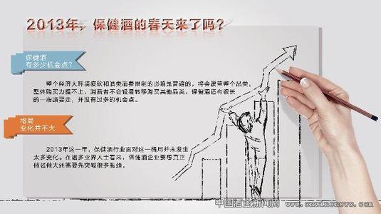  市场营销策划案例 《中国亚健康网》营销策划失败案例剖析