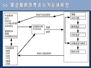  消费者购买过程分析 作为一个消费者的购买过程