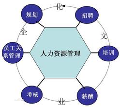  人力资源系列：传统家族式企业如何培养接班人