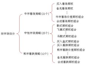  期权交易策略ppt 期权的交易策略