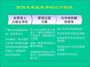  工作变革创新 超管理——企业变革与创新的持续盈利模式(2)