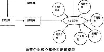  民营企业原罪 民营企业的差异化战略选择