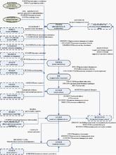  pm项目管理考试 项目管理(Project management pm)