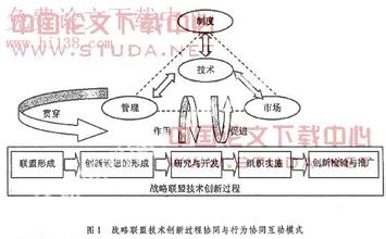  自组织：企客一体化的多边联盟