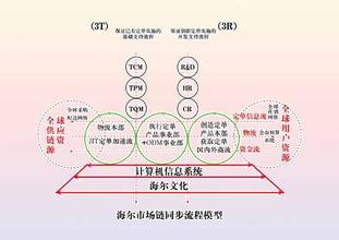  海尔顾服体系再造平台 海尔集团“市场链流程再造”管理模式初探