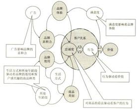  郭志辰舌诊辩析与用药 客户经济条件下的“市场”（客户群）及其种类辩析