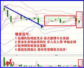  喝彩 且莫急着为TCL喝彩