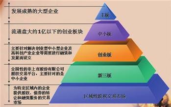  资本市场系统性风险 风险资本市场的自组织行为