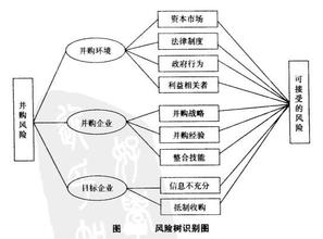  跨国并购风险 解析中国企业在跨国并购中的特点、风险与对策