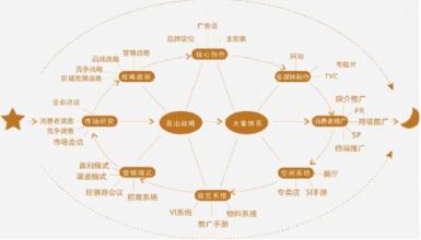  某公司财务分析报告 某公司营销规划分析