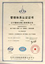  iso9001体系认证 建立ISO9001质量管理体系的感想