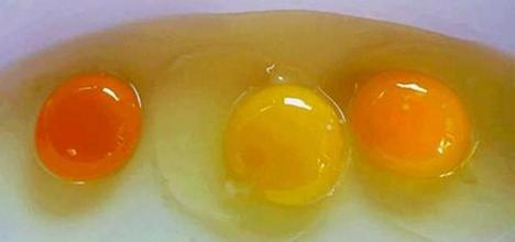  鸡蛋期价分析 关于生蛋的鸡与卖鸡蛋的分析（4月2日）