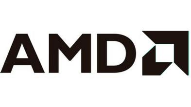  标准背后的博弈 AMD“换标”的背后