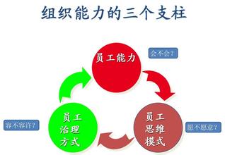  中外合作办学申报系统 中外企业系统能力战略因素比较(一)