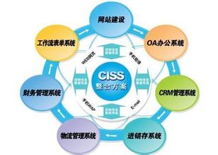  企业管理决策模拟 中国企业决策管理问题简析
