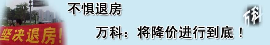  万科理想城开发商 开发商应该与万科比降价