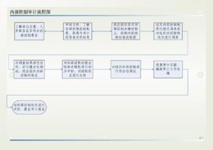  内部控制应当贯穿决策 加强和改进内部控制检查四策