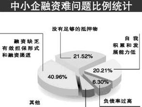  海南中财控股有限公司 破解中小企业融资难题