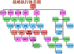  企业战略执行评估报告 企业如何建立并执行系统战略