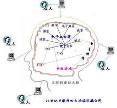  最早发现大脑功能 互联网大脑映射的发现和论述