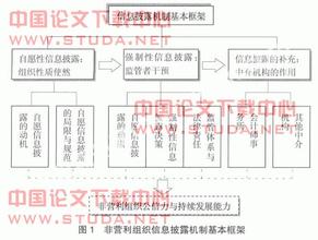  自愿性披露 自愿性信息披露均衡机制研究