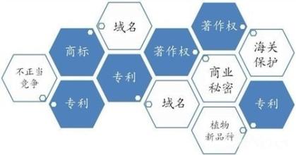  深化农村产权制度改革 美国医院产权制度给中国医院产权制度改革的启示