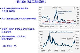  台湾股市大泡沫 pdf 泡沫在中国股市的变性