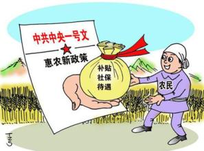  农民的“病困”与健康政策的要素输入：湖南案例